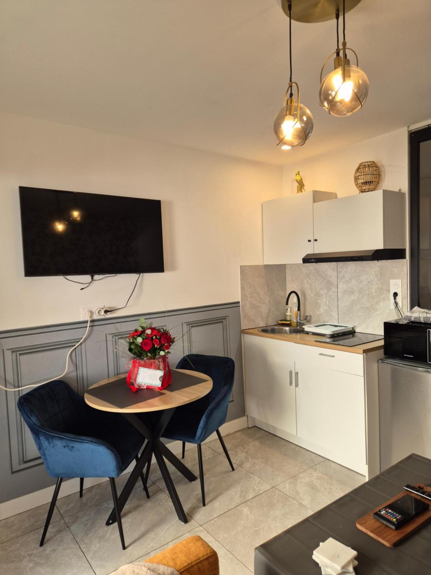 Apartmán Le Nid Douillet Calme Proche Du Centre Parking Video Projecteur Brest Exteriér fotografie