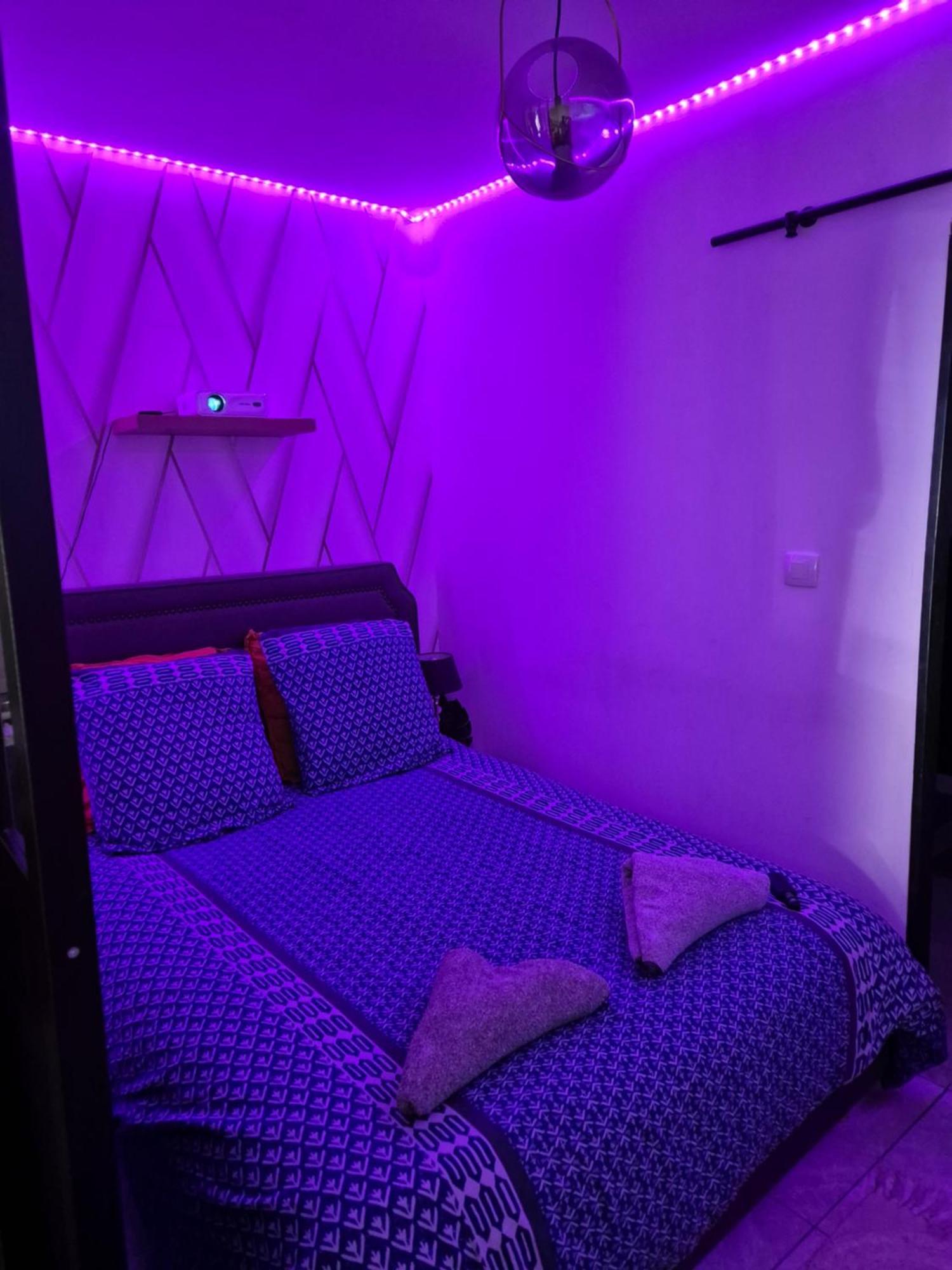 Apartmán Le Nid Douillet Calme Proche Du Centre Parking Video Projecteur Brest Exteriér fotografie
